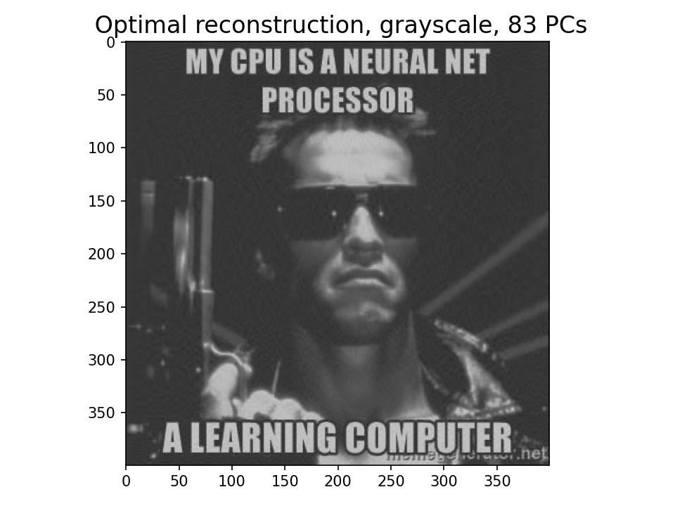 Optimal Reconstruction of the Original Image