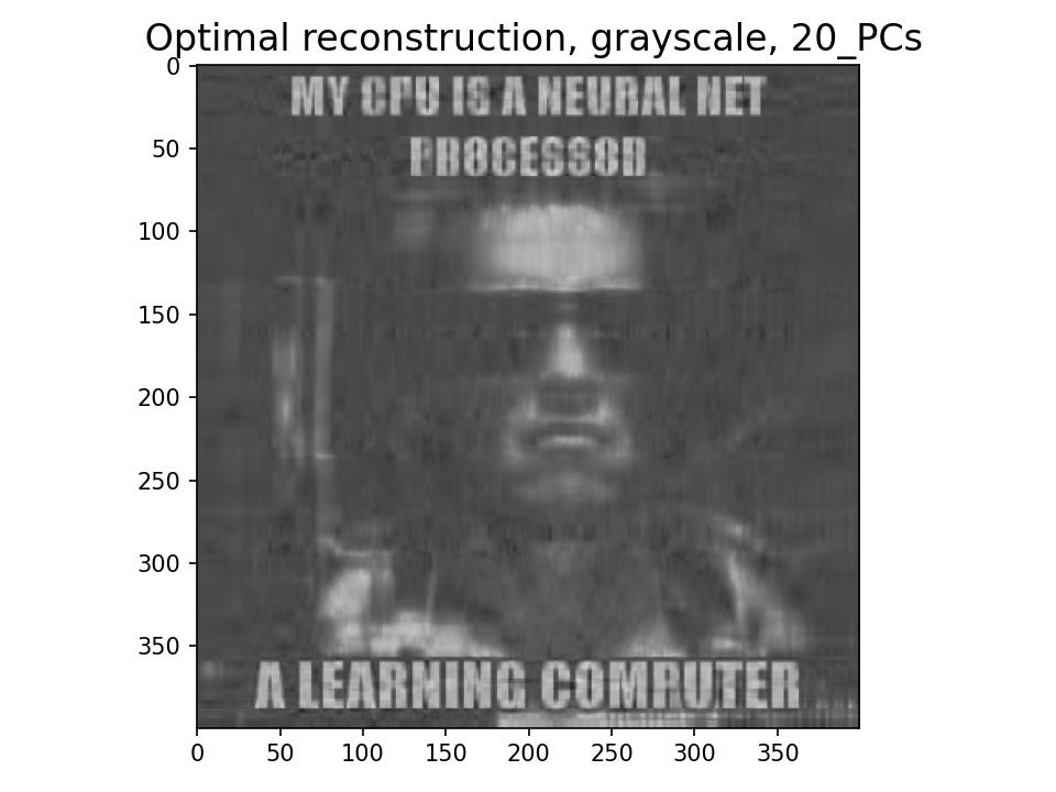 Reconstruction of the Original Image with 20 PCs